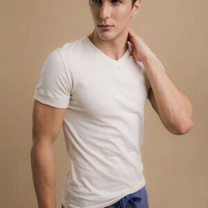 Cottonique Men's Athletic V-Neck T-Shirt